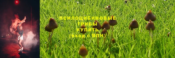 дмт Абдулино