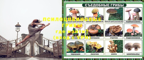 дмт Абдулино