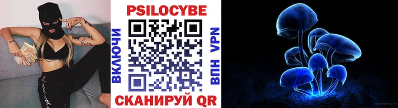 Галлюциногенные грибы мухоморы  дарнет шоп  Ярославль 