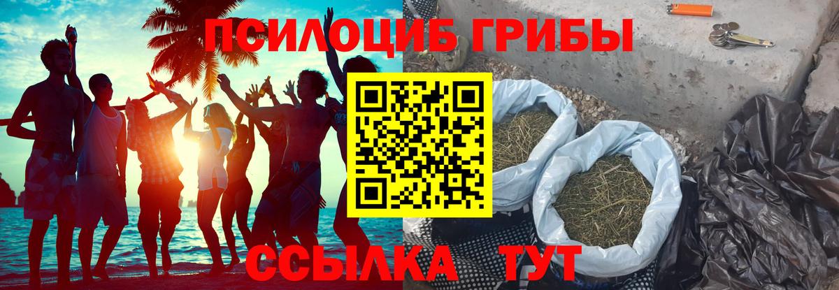 Ярославль  Псилоцибиновые грибы Magic Shrooms  Вход с VPN 